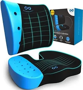 The Everlasting Comfort Lumbar Support Pillow